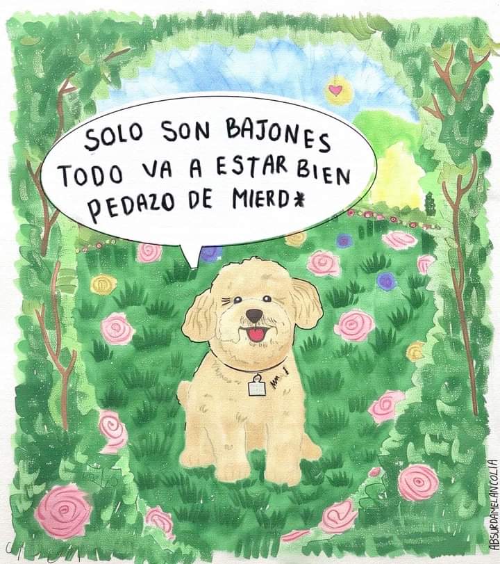absurdamela's tweet photo. https://t.co/gKoOUgkbBS