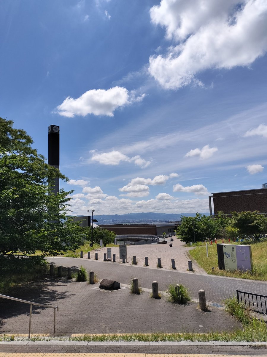AtcoderB's tweet image. 夏だね!