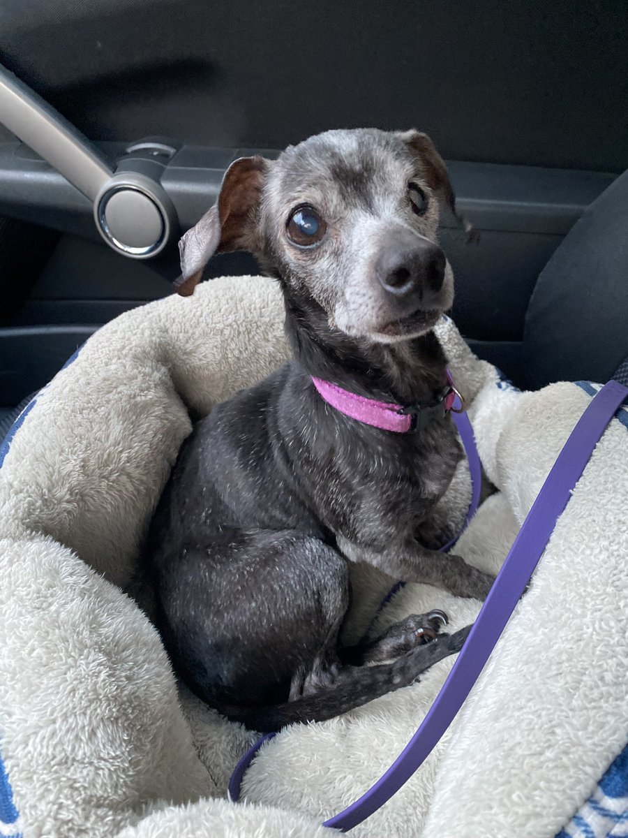 steaksaucces tweet media