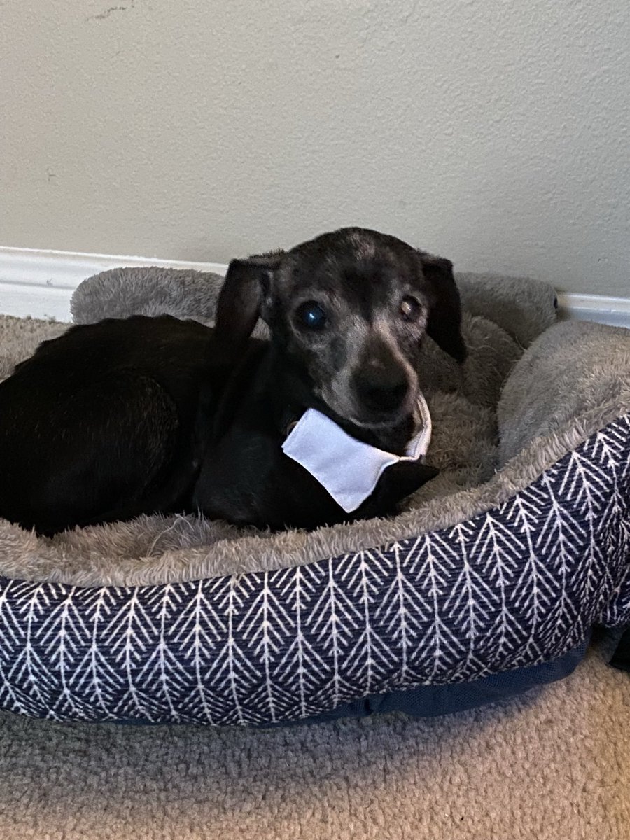 steaksaucces tweet media