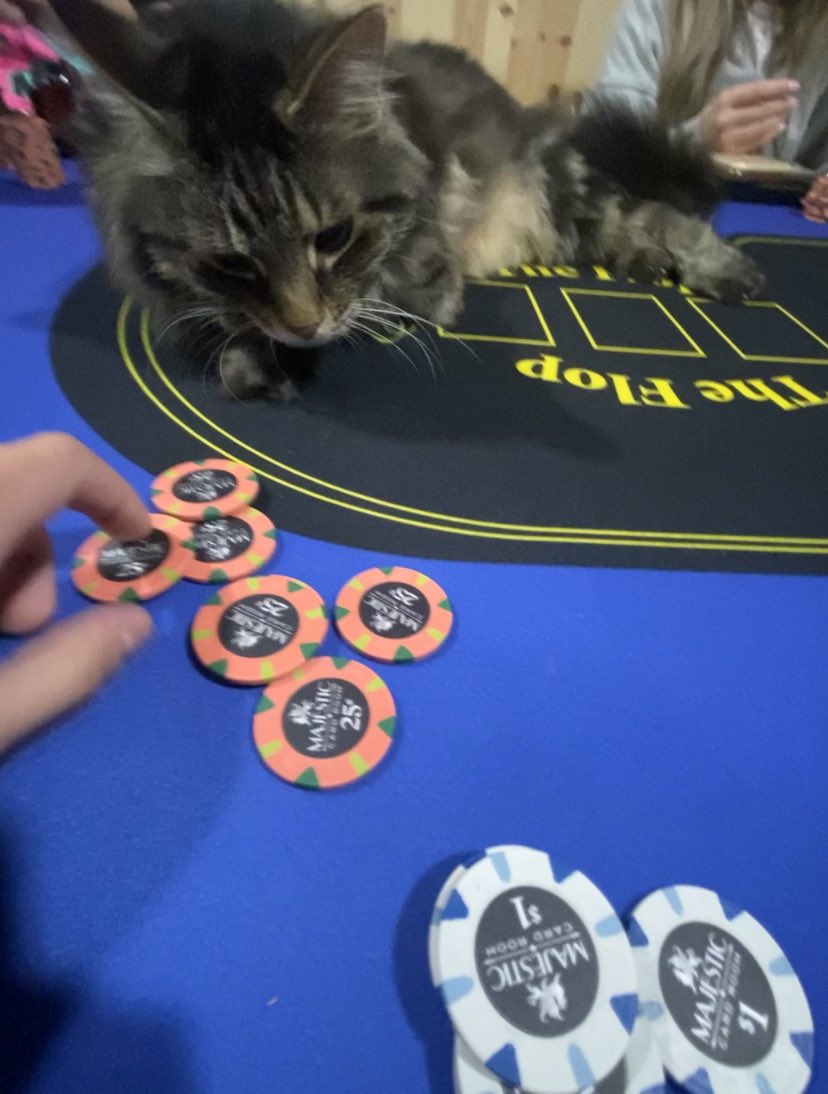 This pussy is counting my stack as if he’s even gonna shove