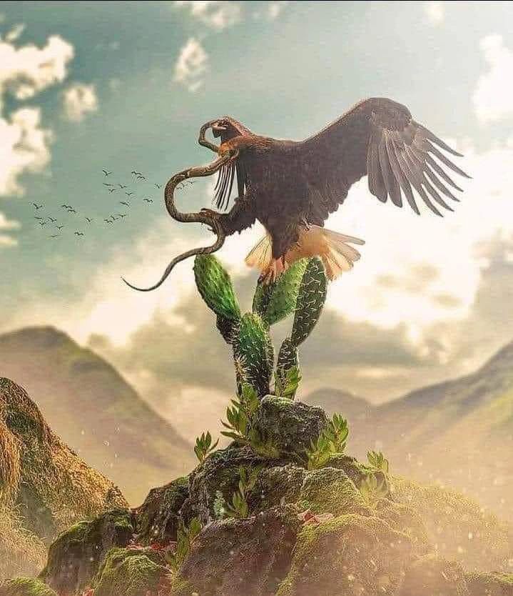 El sensei de la política .·. 🇲🇽  tweet media