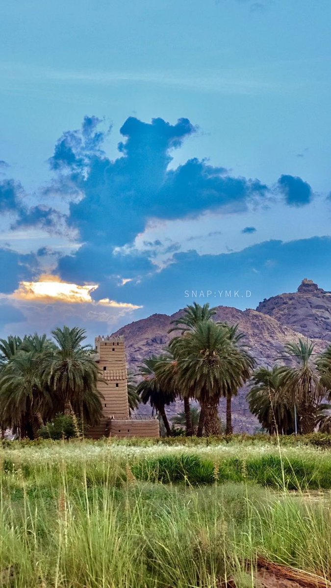 sfhsfj12's tweet photo. من وصايا الرسول عليه الصلاة والسلام:

( ياعلي من لم يكن له ورَعٌ يردّه عن معصية الله فبطن الأرض خير له من ظهرها لأنّه لا إيمان له)🍀 https://t.co/DjvfoPmP86