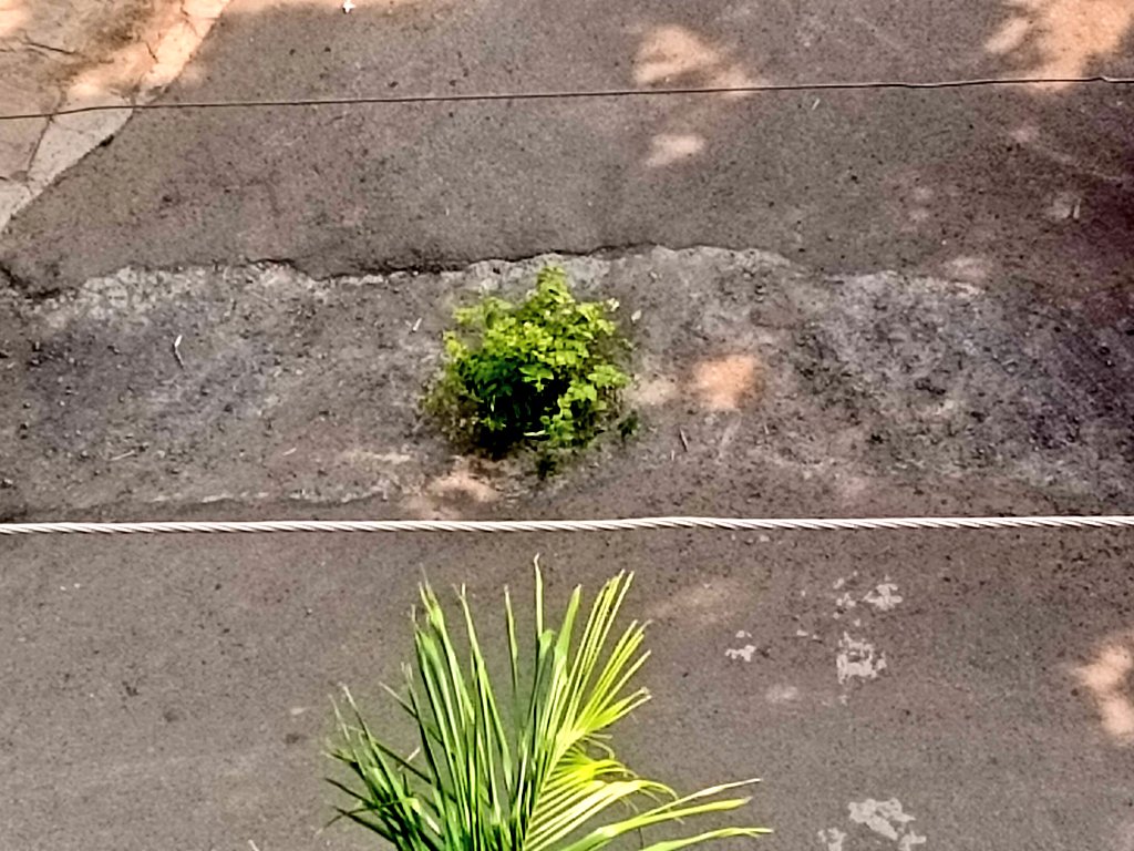 RanjitVDeshmukh's tweet photo. Shameless @ngpnmc puts #citizenslives in #danger as they don't have any quality checks of their contractors'work. Recently a bridge had #collapsed now this #shabby #work of a drainage line has exposed the #corruption in #NMC
@TOI_Nagpur @nitin_gadkari @Dev_Fadnavis @ProshuncTOI https://t.co/EkNVIeOWKu