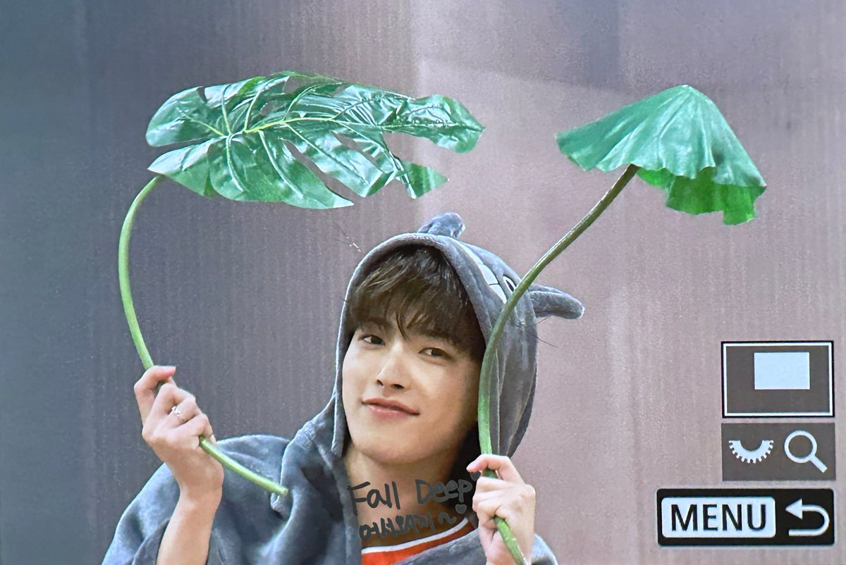 MERMAIDEXOL's tweet photo. totoro hongjoong???💚 https://t.co/zspwKoXp0k