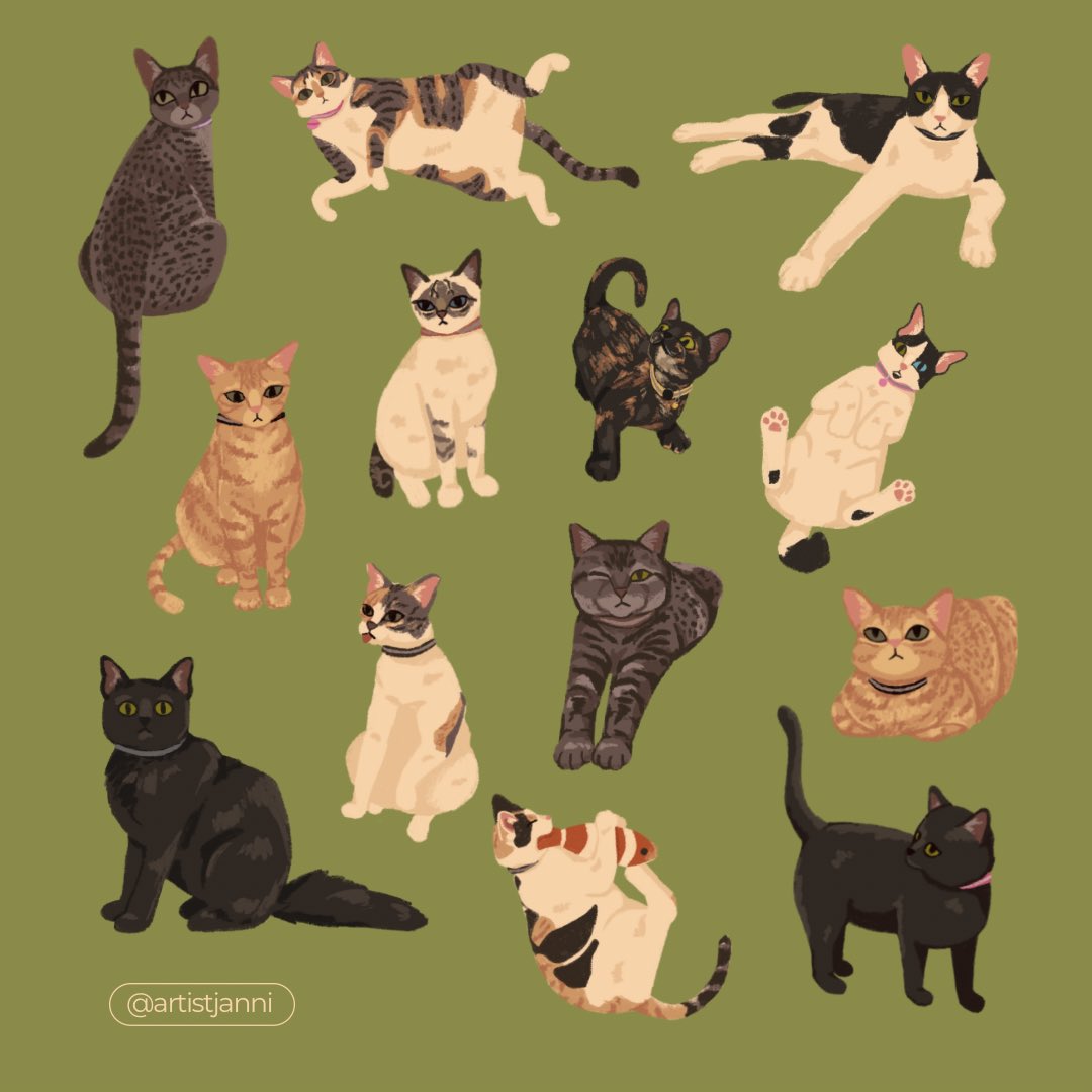 Janni the Artist tweet media