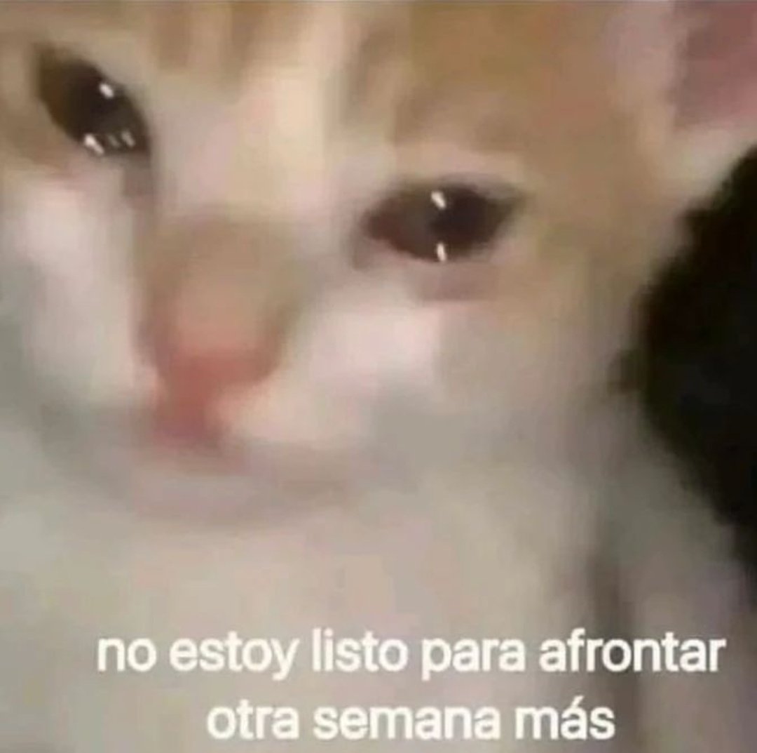 No estoy.
