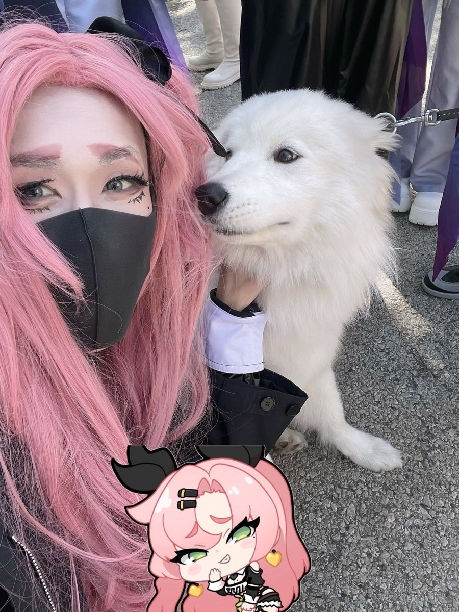 SPO1LER_'s tweet photo. 再来张狗狗 https://t.co/3pXIrXlRaC