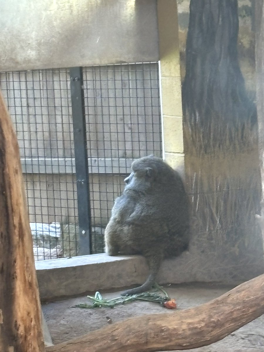 Won CVAL champs, time to retire