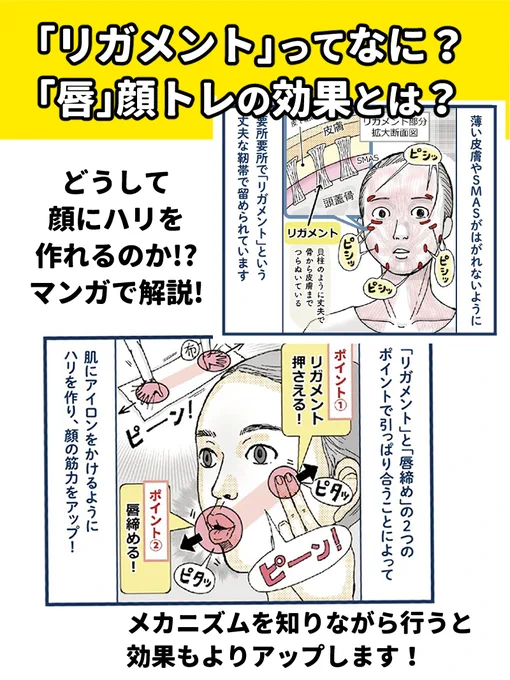 【リガメントって何?】
【なんで唇をキュッと締めるの?】

なんでこの動きでハリが作れるの??

顔のメカニズムを知りながら行うと
フェイストレーニングの効果もさらにアップです

よかったら読んでみてくださいね^^

解説マンガはコチラから➡️
https://t.co/QDs4vYke0k 