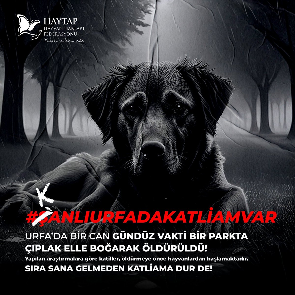 1987'de ABD'de seri katiller üzerinde yapılan bir araştırmada,seri katillerin %89 unun öldürmeye küçük yaşlarda hayvan öldürerek başladığı ortaya çıkmıştır.
Sıradaki biz olabiliriz.
#ŞanlıurfadaKatliamVar 
#Haytap
#Sokakköpeklerisahipsizdeğil