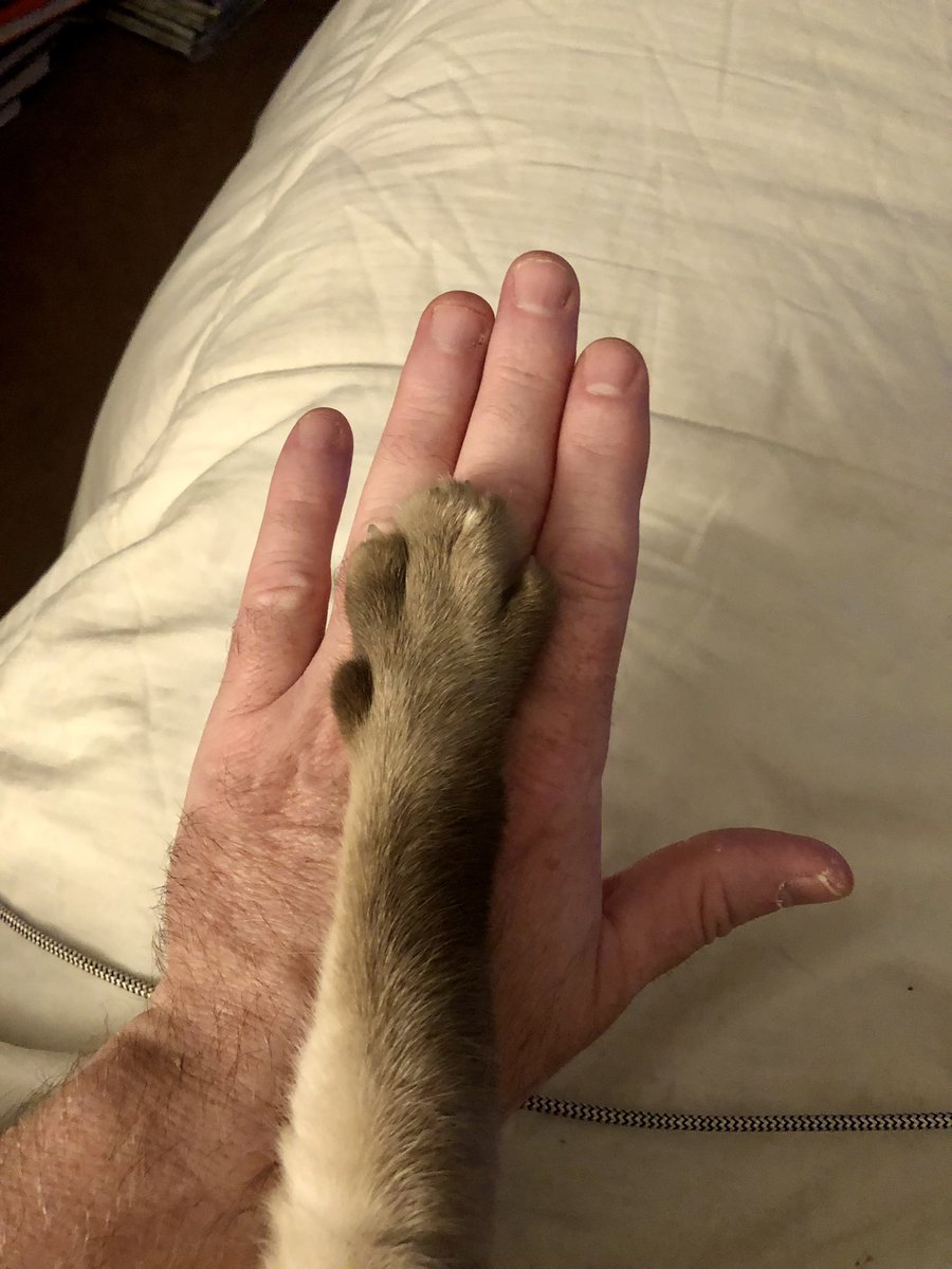 Bertie and Squeaks🌈OTRB 5/10/23 tweet media