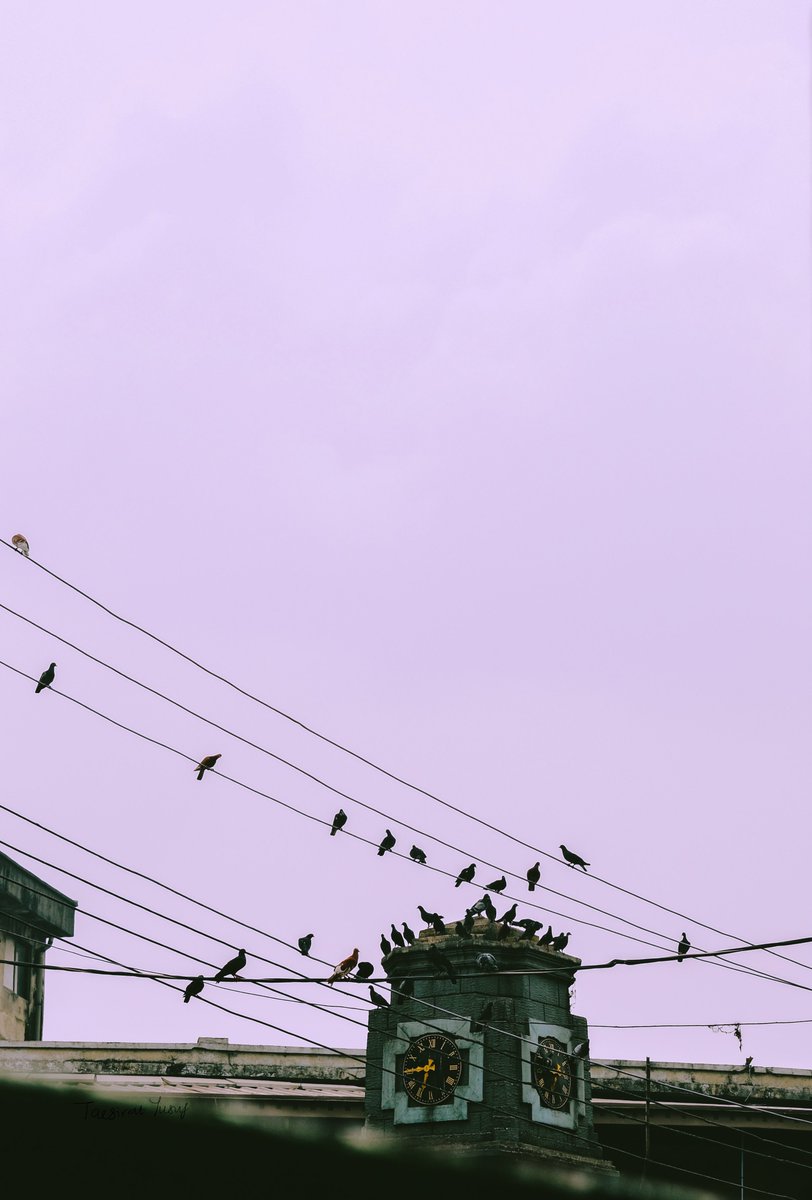 Taesirat_'s tweet photo. Postcards from Lagos Island(March 2024) https://t.co/fqaerL7ja0