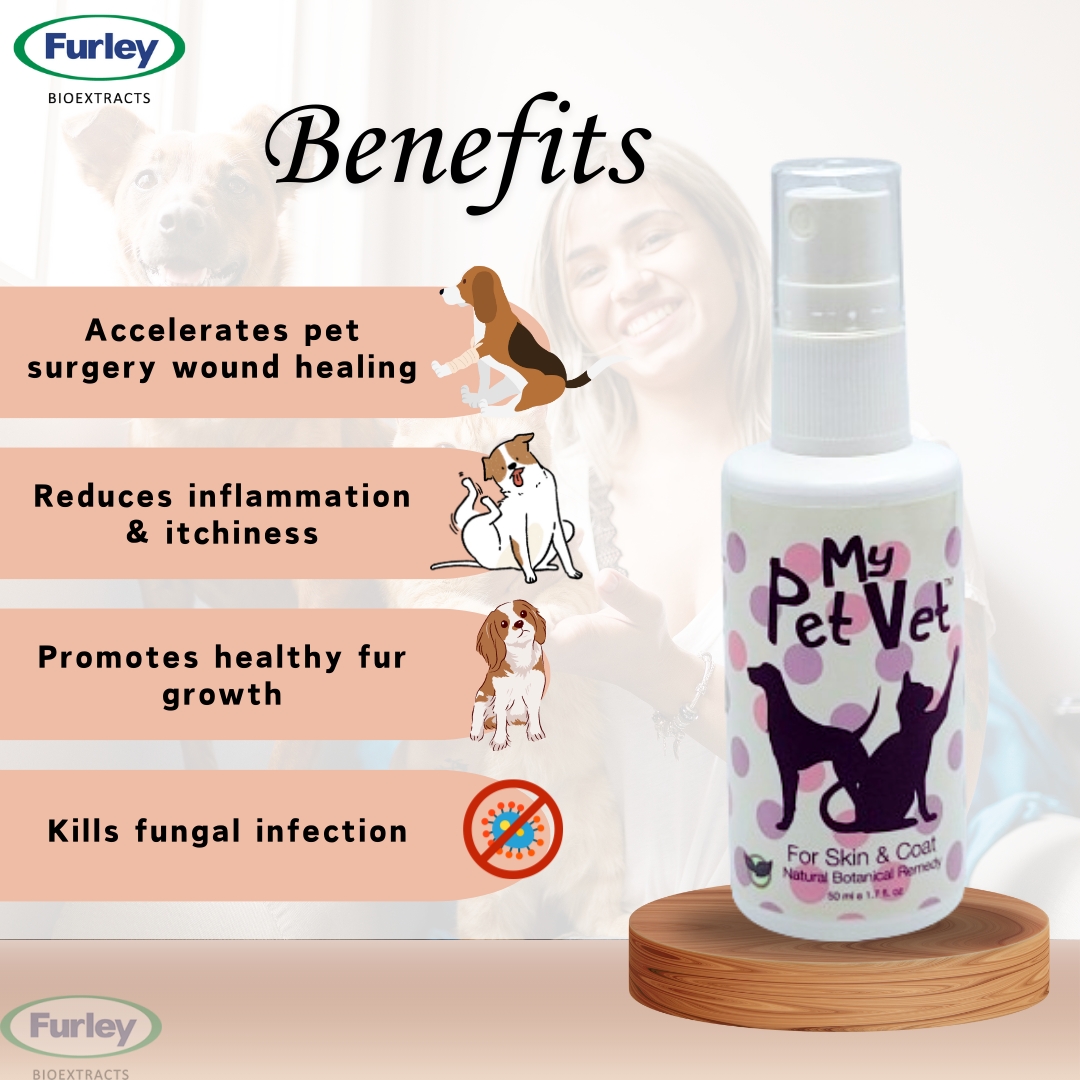 furleyB's tweet photo. 🐾 Keep your furry friends happy and healthy with our top-notch pet care solutions. From grooming to health check-ups, we've got you covered. Give your pets the love and care they deserve! 🌟 

#Furley #MyPetVet #PetCare #HappyPets #HealthyPets https://t.co/AUSuOhyR3Z