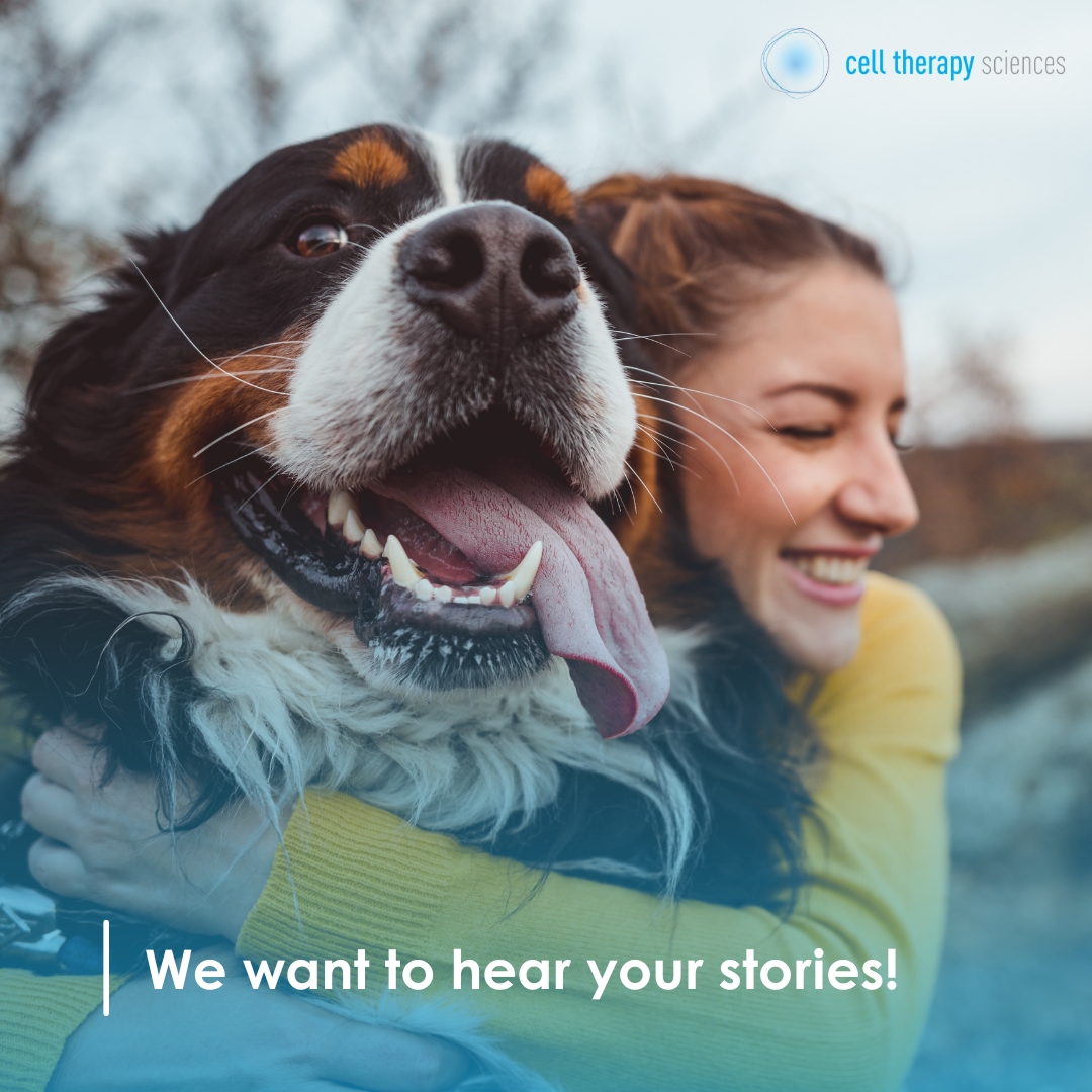 Has your furry friend had stem cell therapy?

We want to hear all about it!

Share their success story in the comments below. Photos are always welcome, and greatly encouraged!

Read some more positive outcomes over on our website 🔗 celltherapysciences.co.uk/gallery