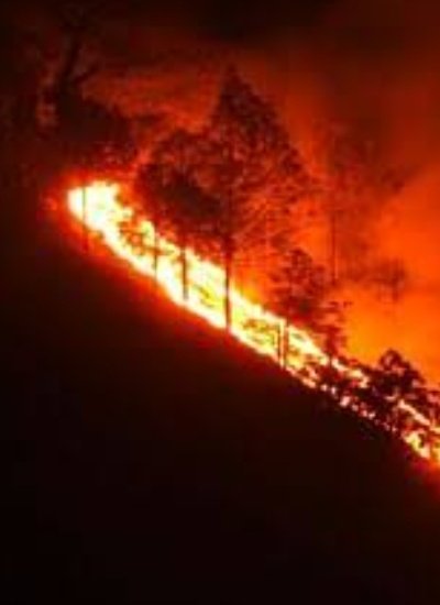Gautam_Adv28's tweet photo. Witnessed #ForestFire in and around #Nainital with my own eyes and nobody is talking about it.
#ItsStillON https://t.co/3E53Om0iBp