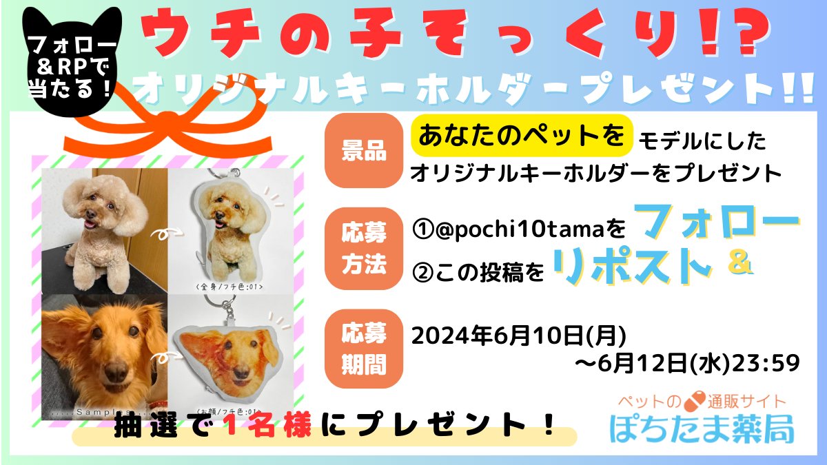 pochi10tama's tweet photo. 🐱6月のプレゼント企画🐶
アンケートの結果、今回のプレゼントは「ウチの子キーホルダー」に決定しました👏

それでは早速、応募受付開始です🥳
みんなに自慢できちゃうウチの子キーホルダー、1名様に当たります(*'▽')🎉

【応募】@pochi10tama をフォロー＆この投稿をリポスト
【期間】6/10(月)~6/12(水)23:59まで
【発表】6/14(金)

アンケートにご参加いただいた皆様、ご協力ありがとうございました🙇‍♀️
#プレゼントキャンペーン開催中