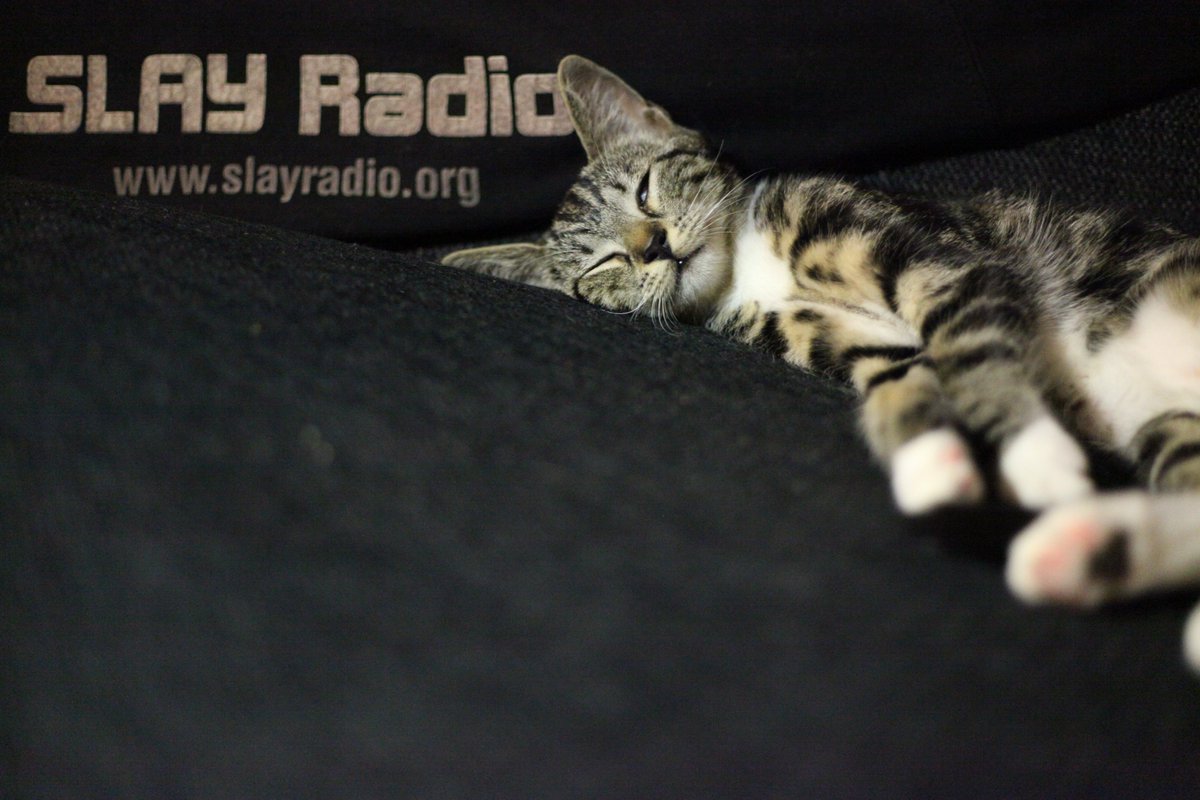 SLAY Radio turns 25 years old, so we are bringing back the Gathering, at least for a one-off!

When: August 3, 2024
Where: Kville Biljard, Gothenburg, Sweden

Last time we had a Gathering in 2017, it was an absolute blast, and this will no doubt not disappoint either!

Join us!