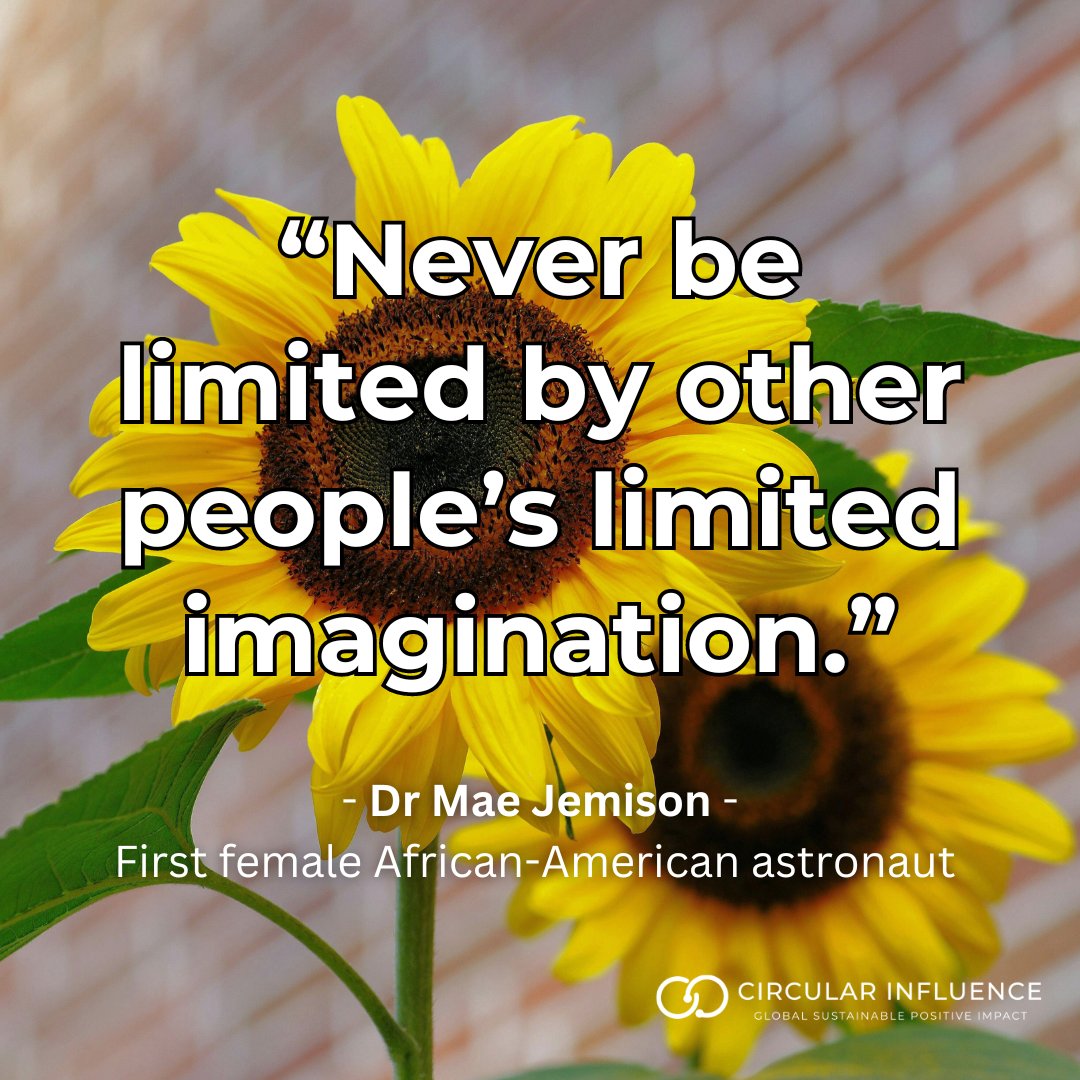 CircularInfluen's tweet image. 