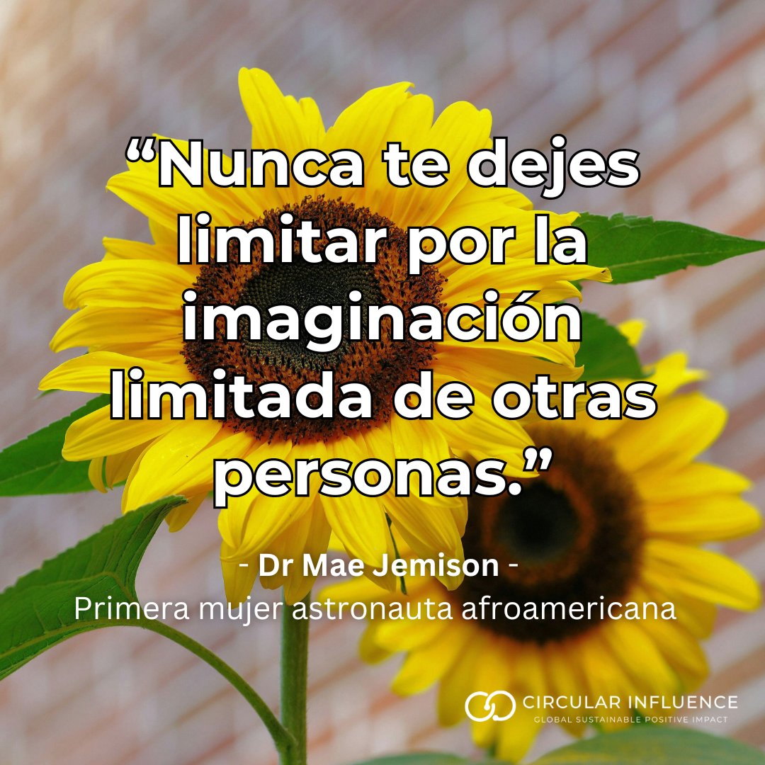 CircularInfluen's tweet image. 