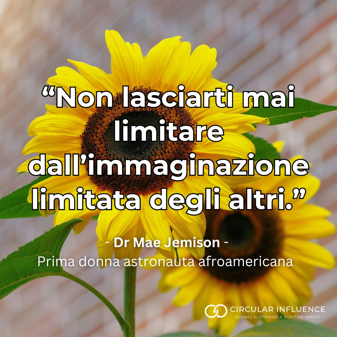 CircularInfluen's tweet image. 