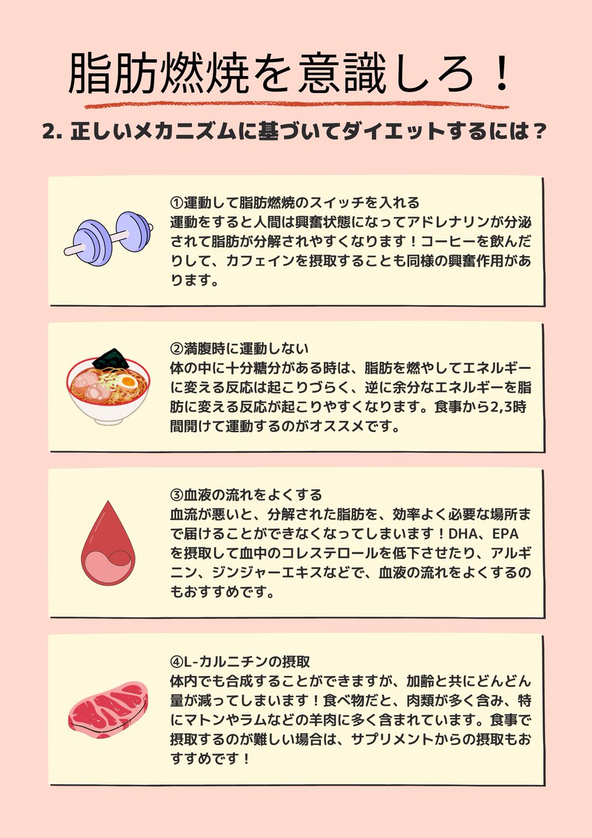 valx_official's tweet photo. 脂肪燃焼の正しいメカニズムについてまとめました。

根本を理解し、無駄な努力はやめて正しく痩せましょう！ https://t.co/FgKUhD3LHE