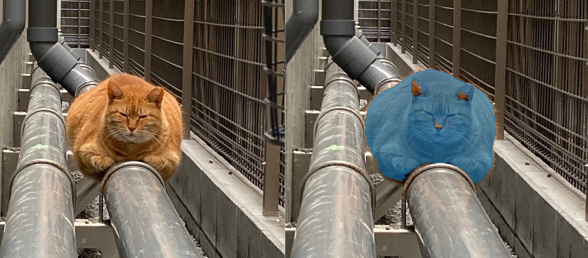 imvisionlabs's tweet image. #MATLAB を利用して、#SegmentAnything を実行しました。猫の領域を青で示しています。#YOLOX を利用して猫の位置を特定し、SegmentAnythingでマスクを作成しています。
sam.segmentObjectsFromEmbeddings関数でSAMを実行できます!