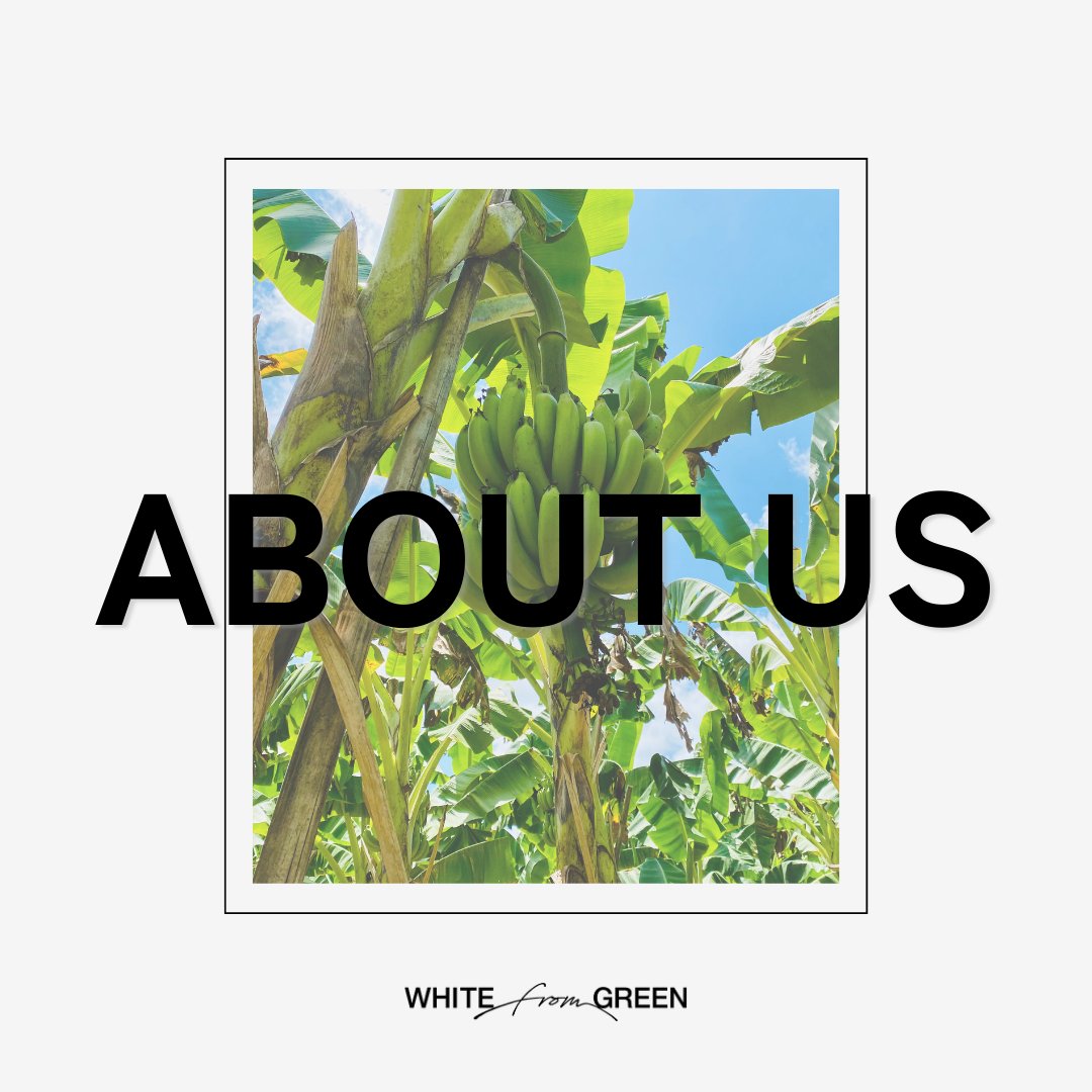 wfg_official (@WfgOfficial) / Posts / X