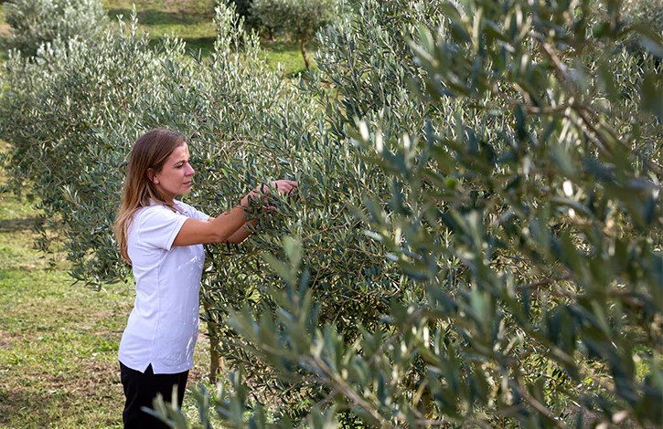 🏆<a href="/Oli_Migjorn/">Oli Migjorn</a> , premiado como uno de los mejores productores sostenibles de 2024 en España
💚<a href="/bbva/">BBVA</a>, <a href="/CanRocaCeller/">El Celler de Can Roca</a> 

oleorevista.com/texto-diario/m…