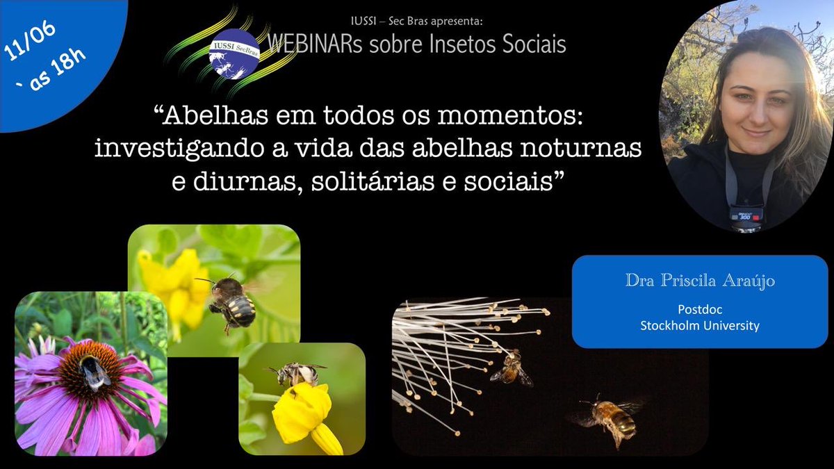 Elaine Françoso tweet media