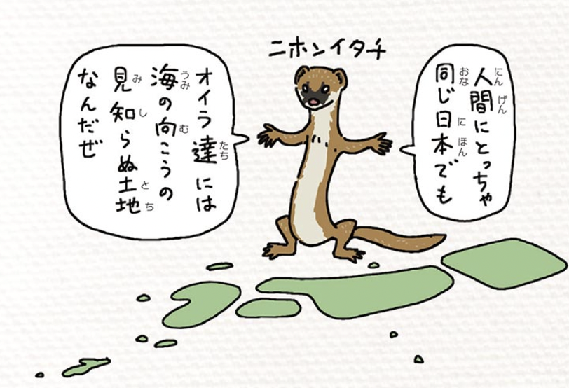 因みに国内外来種とは、日本にもともと生息していた在来種が、本来の生息域から人為的に別の地域に移され、その地域の生態系バランスを崩してしまう問題。 

#外来いきもの図鑑
https://t.co/vnS68wGXmG

この人喰いグマ🐻が、本当にヒグマとツキノワグマの交雑個体だとしたら、マジで大問題。超深刻。 