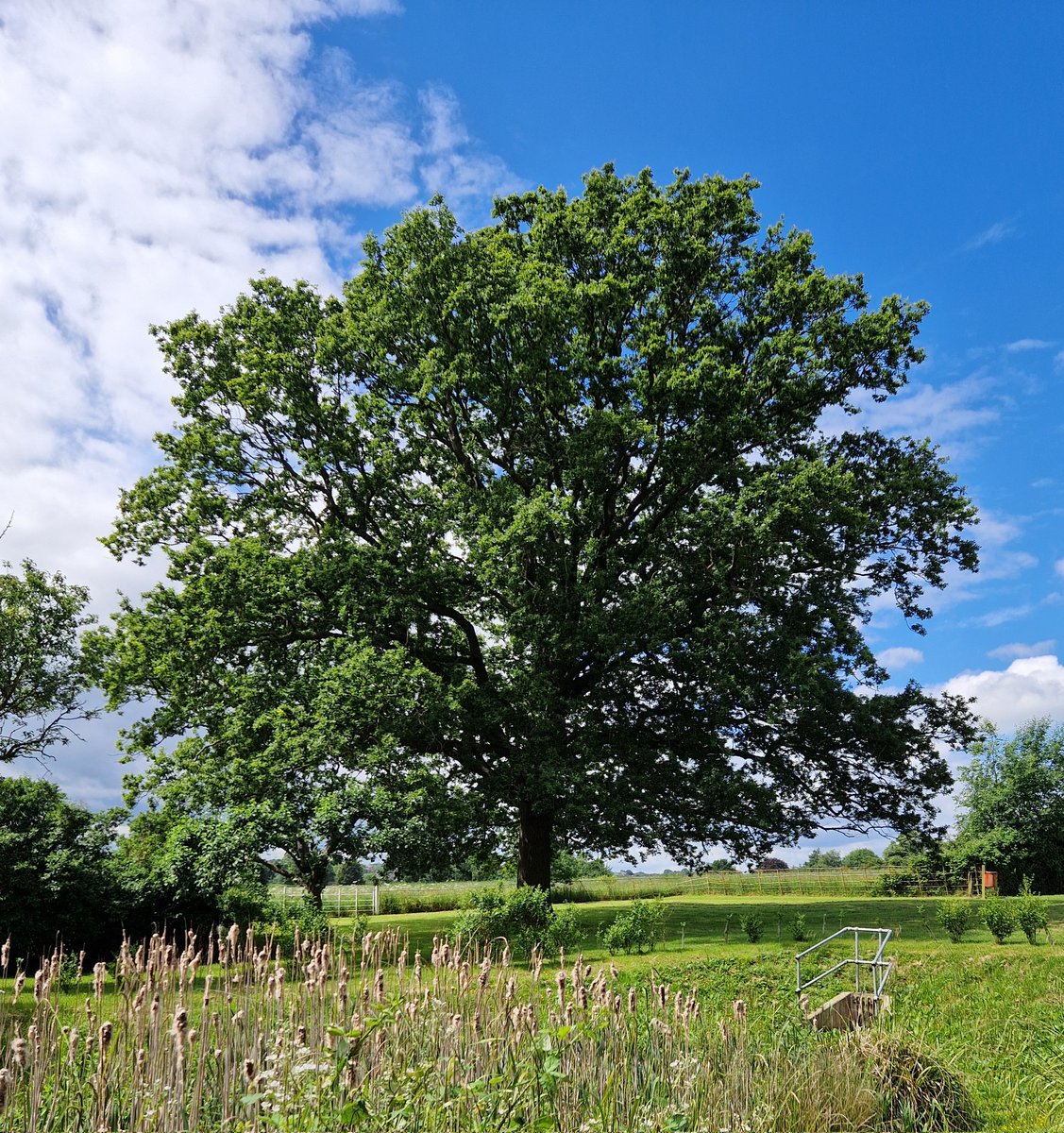 Jo Slade tweet media