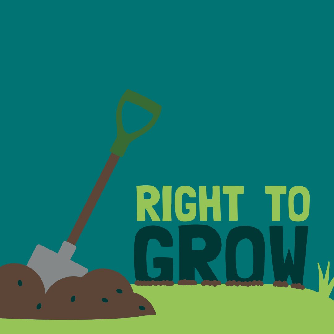 We are launching a Right To Grow campaign in #Liverpool! 

Join us at our Launch Picnic to hear from national campaigners, link up with other cities supporting this initiative and take part in various activities. 

Find out more and sign our open letter 👉feedingliverpool.org/right-to-grow-…