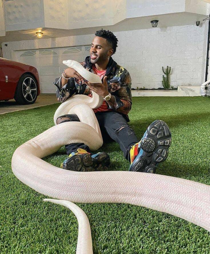 PauloFunzamo's tweet photo. Se fosse o Refila boy tirando foto com cobra 🐍 o barulho que ia dar 😹😹😹 https://t.co/EHtqZ20lwz