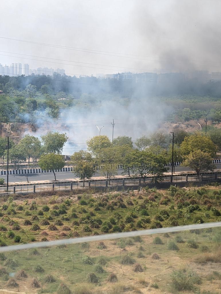 prashantpastore's tweet photo. Burning of leaves in a Biodiversity park....who allowed it @UPGovt @UppcbG @MinistryofEnvi2 @Uppolice https://t.co/MVoK8Ec4va