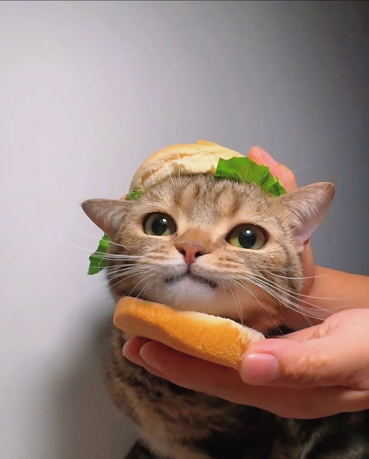 완전히>_<