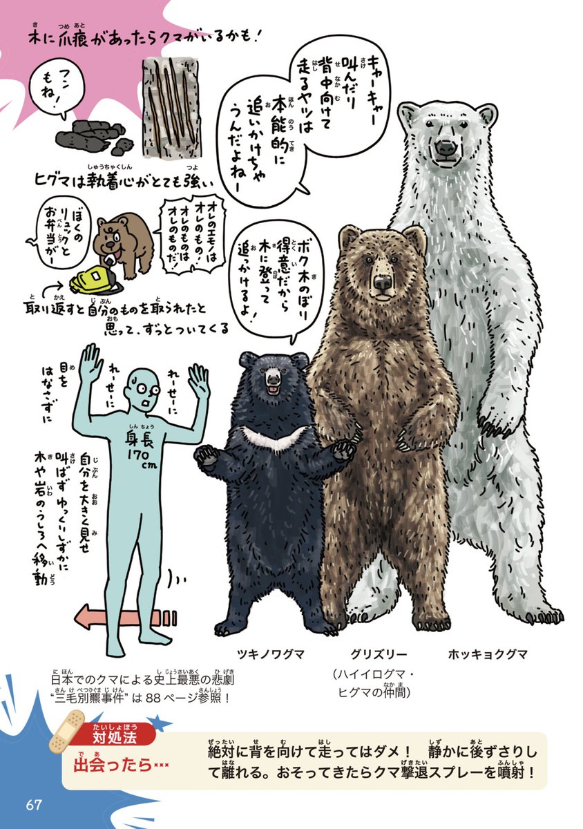 仮にハイブリッドだとして、ツキノワグマは木登りが得意らしいけど、この人喰いグマもやはり木登り得意なのだろうか…

#すごい危険な生きもの図鑑
https://t.co/1nX9uvkURo

北海道のヒグマも木登りはするのかな。

https://t.co/g03qbuOIAV 