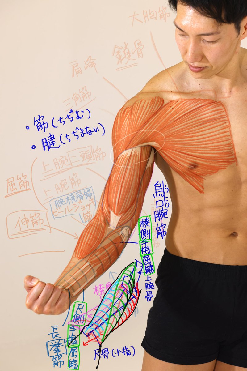 kato_anatomy's tweet photo. 本日は武蔵野美術大学で講義でした https://t.co/K2FPYq1QMv