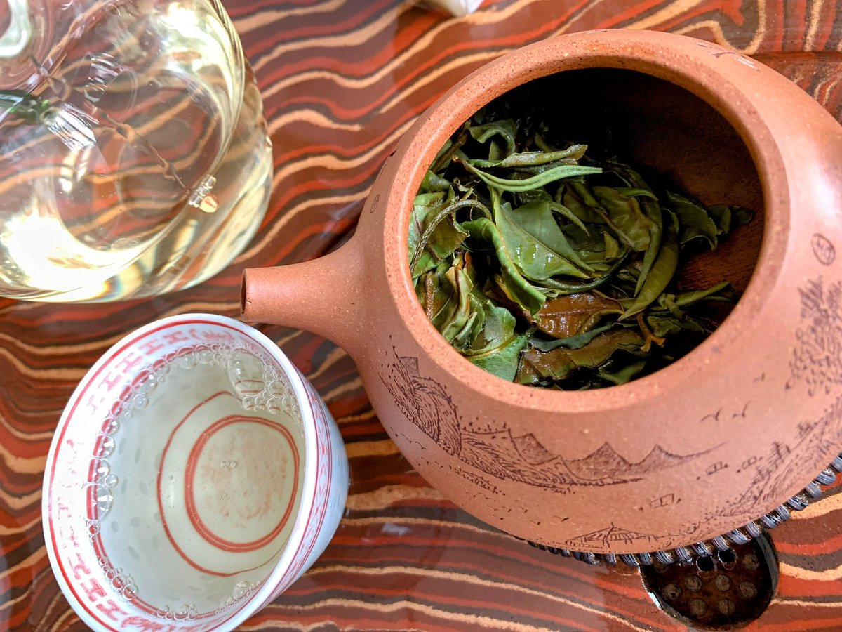 gowiden's tweet photo. #古树白茶 post-Spring Festival 2024, the buds and leaves from wild ancient tea trees over 200+ years old are naturally dried to retain enzyme activity and prevent oxidation, preserving the tea's inherent nutrients. #AncientTreeTea #WhiteTea https://t.co/RvHm5KJrHK
