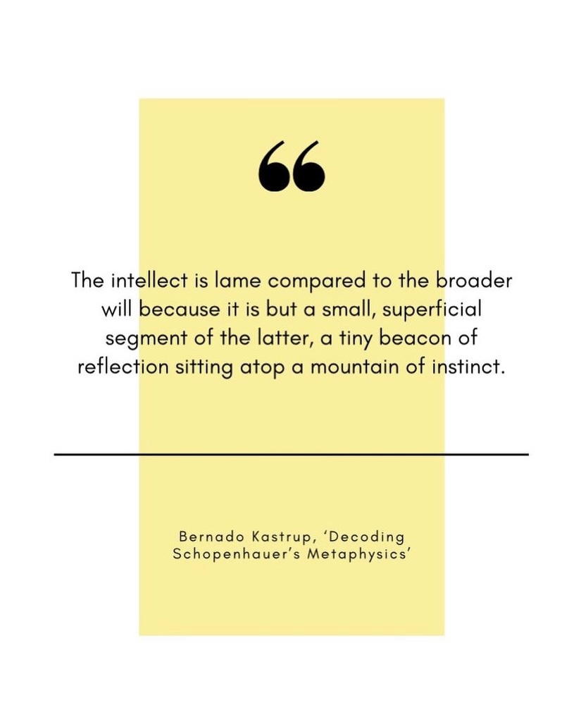 Pleased that there are as many as 65 nerdy/curious souls out there who have followed my Instagram @Schopenhauer_the_great account. Any more takers? Reading him has had a seismically positive impact on my life and outlook 🤓