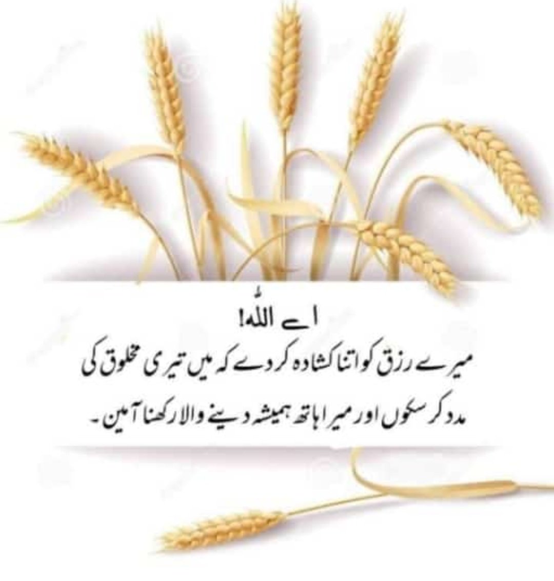 اللہ ہم سب کے رزق میں اضافہ عطا فرمائے۔ آمین