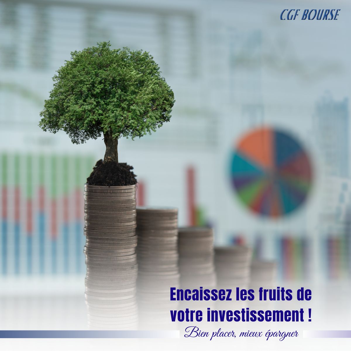 cgf_bourse's tweet photo. Encaissez les fruits de votre investissement ! Les dividendes vous offrent un revenu régulier issu de la performance des entreprises. Diversifiez votre portefeuille pour maximiser vos opportunités.
#cgfbourse #investissement #dividendes #portefeuille https://t.co/h5hpJBsLKE