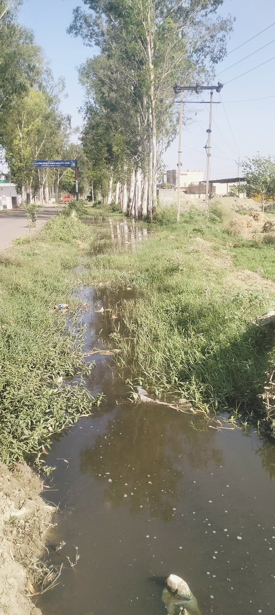 j54310063's tweet photo. @cmohry  CM साहब हमारे गांव बालराजपूतान में चारों तरफ पानी ही पानी भरा रहता है कृपया करके आप हमारे गांव की तरफ ध्यान दें। ब्लॉक मुनक 9306120593 https://t.co/hyiflWyFni
