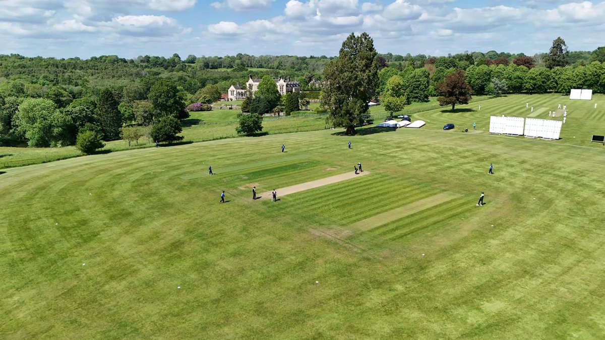 WG RumblePants tweet media