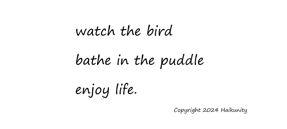 HaikUnity's tweet photo. #haiku #haikupoetry #haikupoems #senryu #haikunity #chouxhaiku https://t.co/vMyTfHD4wd