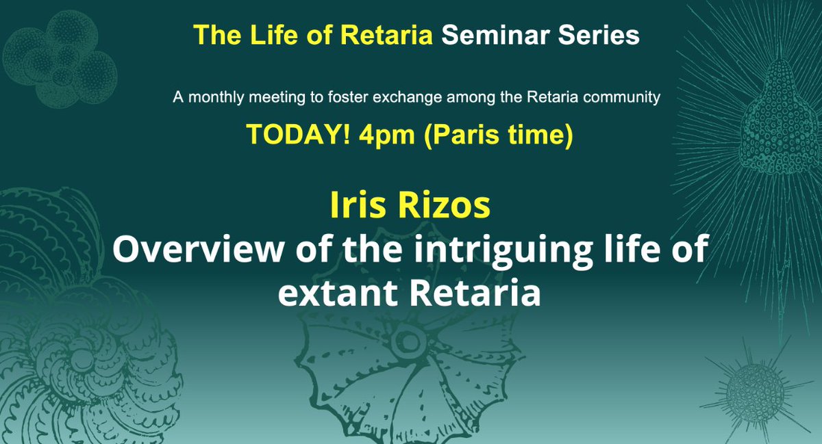 TheLifeOfRetaria tweet media