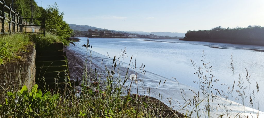 pewileman's tweet photo. A solitary #DandelionClock marks witness to the passage of time at an old disused landings on the #GatesheadRiverside. In the distance the historic #DunstonStaithes can just be made out on #RiverTyne
@NorthEastTweets @Savethestaiths @Gateshead #History @Mlifephoto @czykjo https://t.co/KMXdXVLIx2