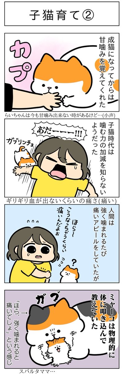 子猫育て①②│フェリシモ猫部 https://t.co/SutYgx9QHe 