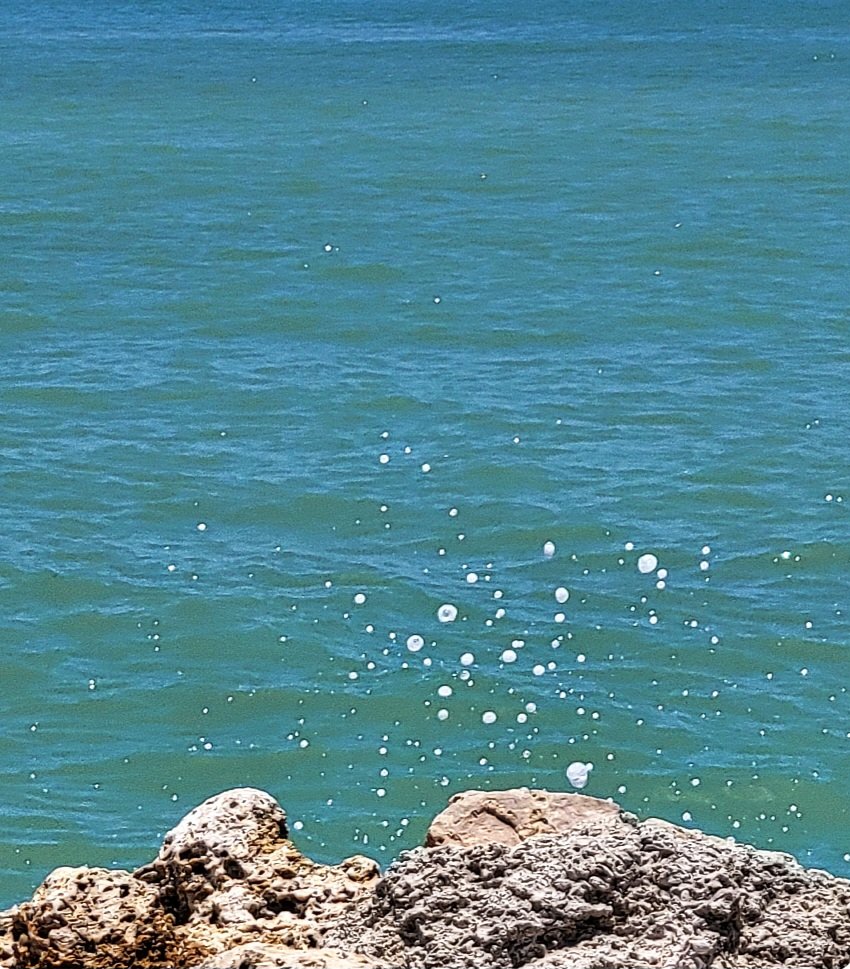 CharFlorida2's tweet image. It's the big things
Like a terquoise blue ocean
It's the little things
Like water drops catching
   bubbles of sunlight
Turn off the phone
Go outside
Breathe Peace Silence Simplicity
💦🫧🌊🌊☀️🌊🌊🫧💦
Happy New Week
