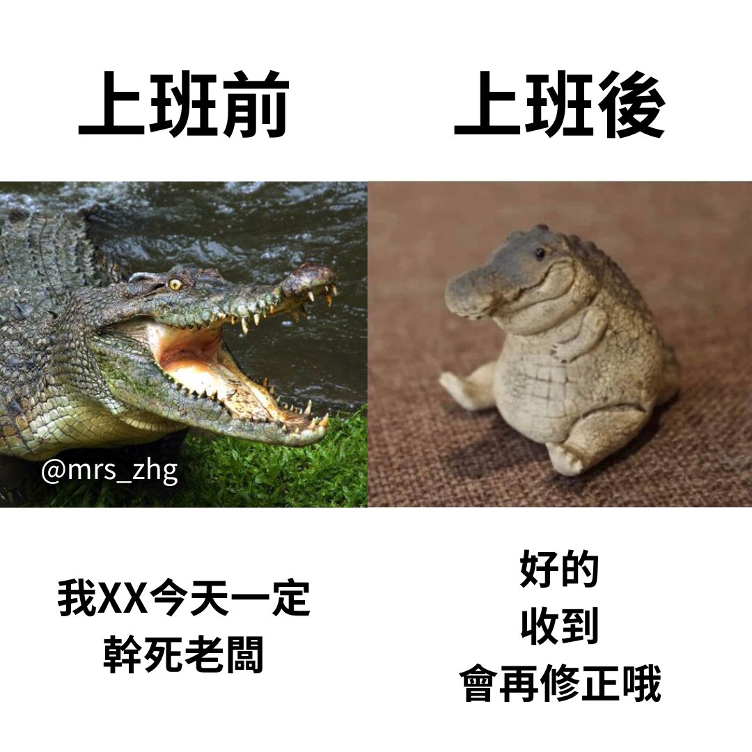 智能動漫迷小張⍨ tweet media